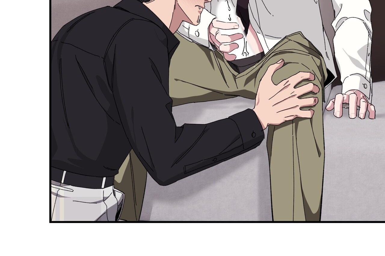 chàng dâu nhà họ kang chapter 34 100