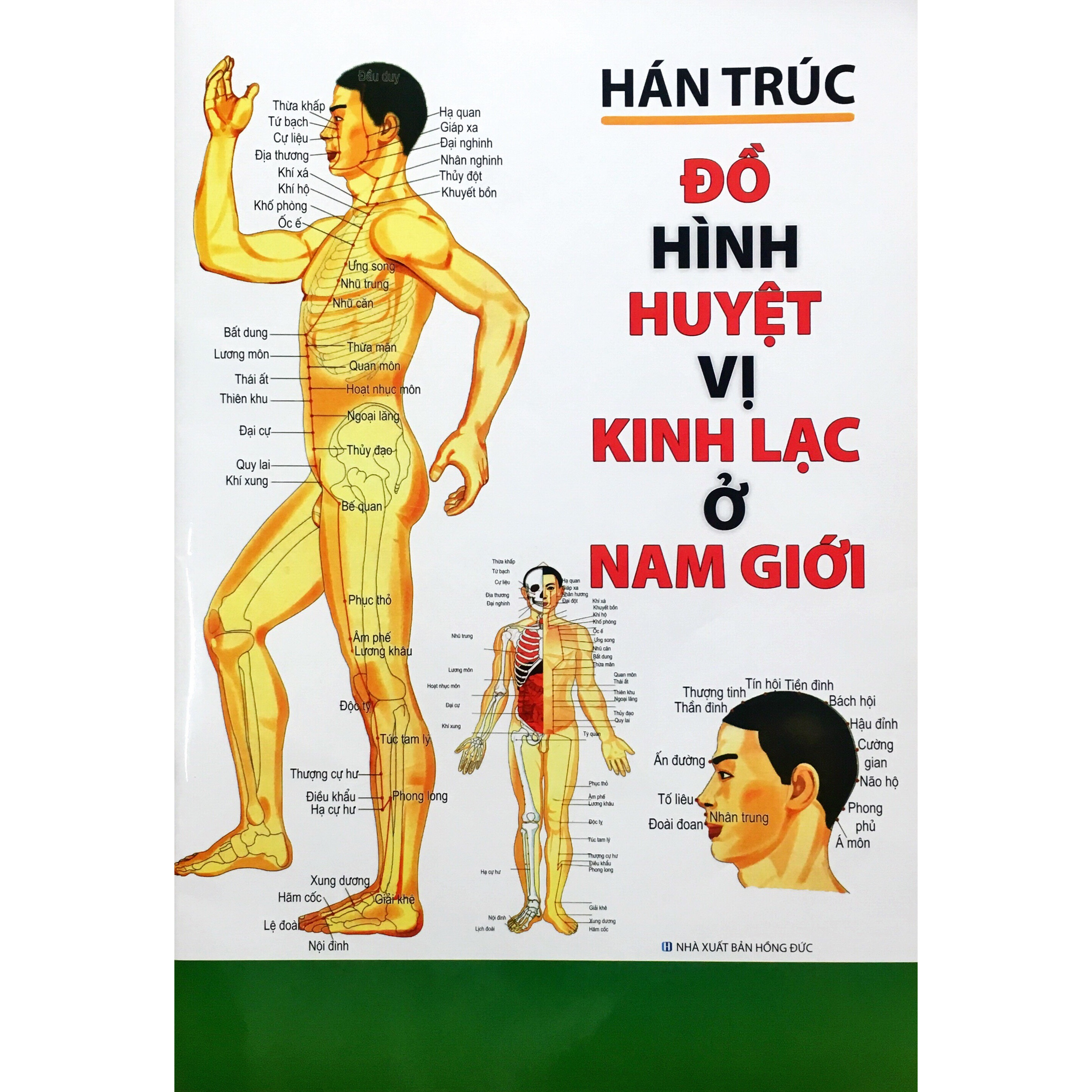 Đồ Hình Huyệt Vị Kinh Lạc Ở Nam Giới - Tặng Kèm Bookmark GIGA