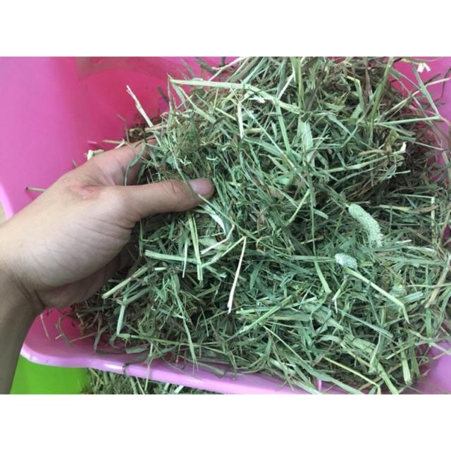 Mua Cỏ khô Timothy cho Chuột Lang và Thỏ | Tiki
