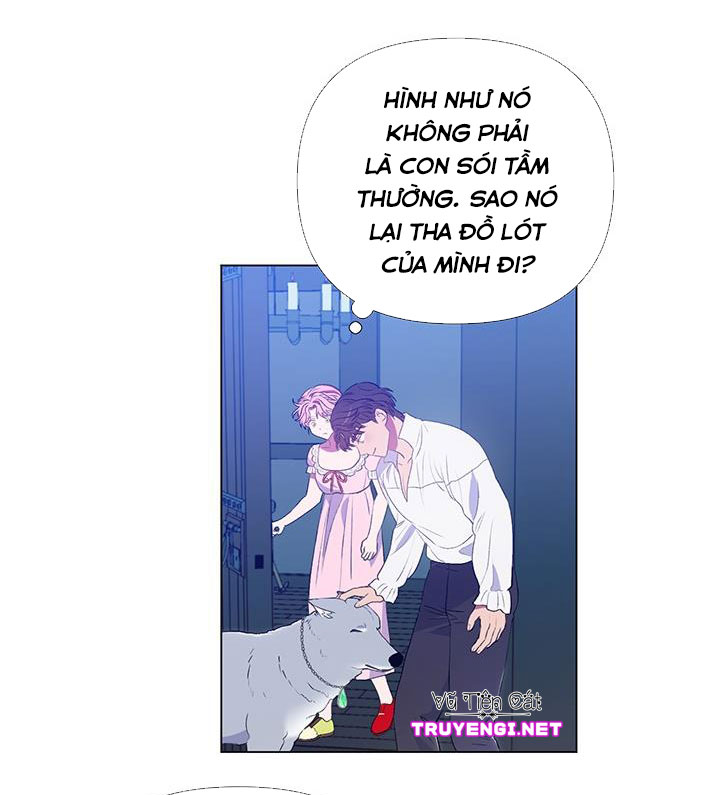 elizabeth chapter 11 61