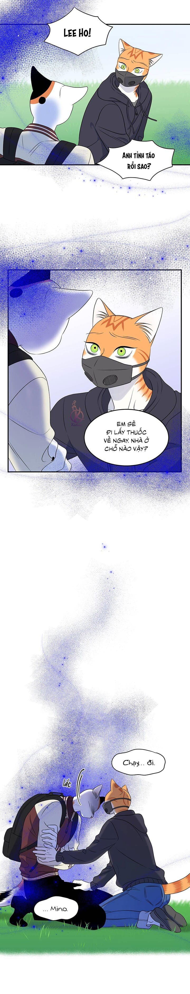 dự án xanh chapter 33 10