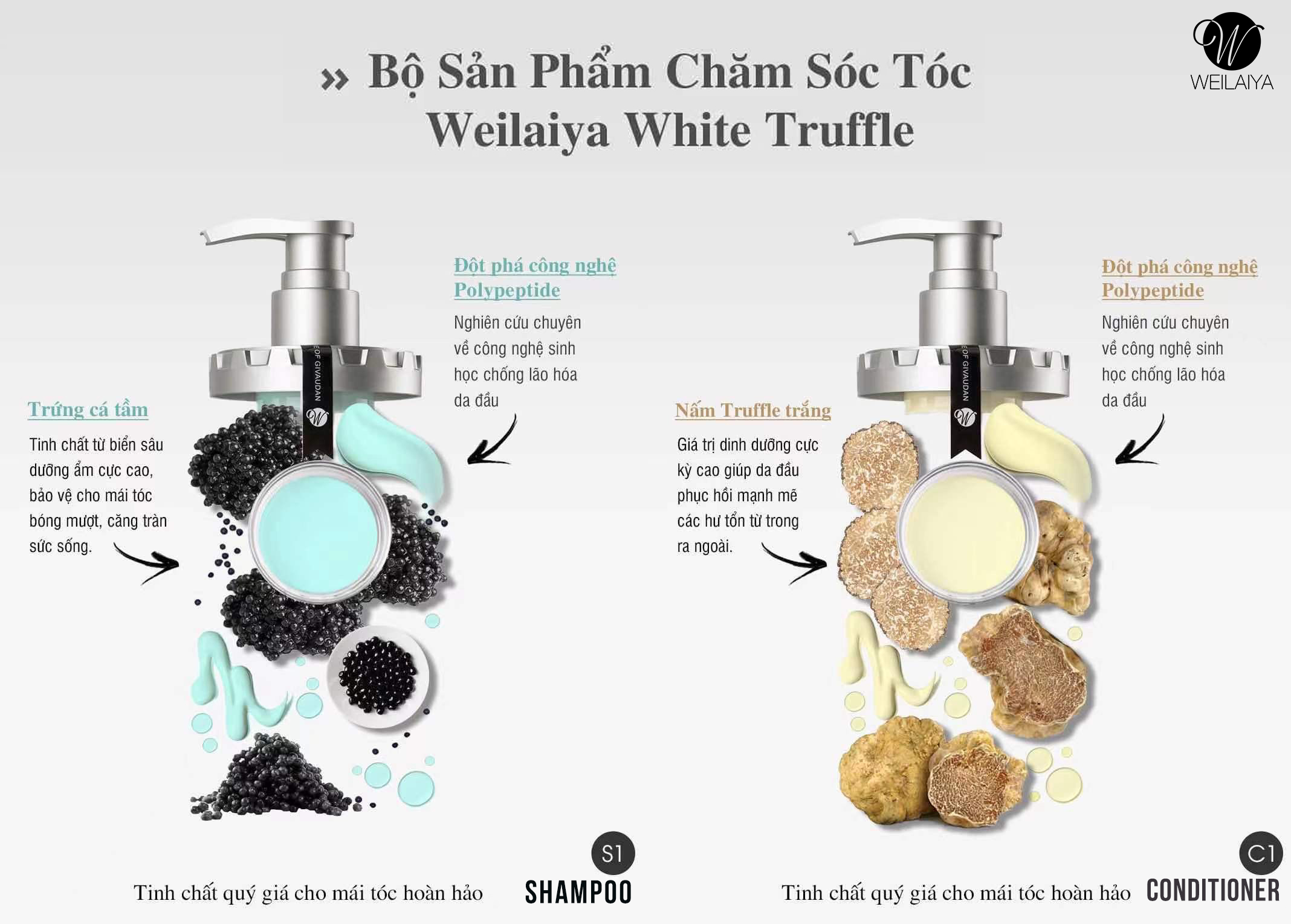 Bộ dầu gội phục hồi đa tầng Nấm Truffle Weilaiya 450ml