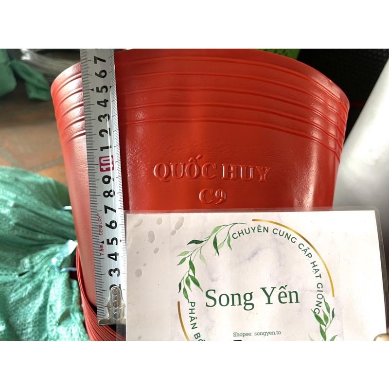 100 chậu nhựa đỏ c9 size 23x17 loại dày
