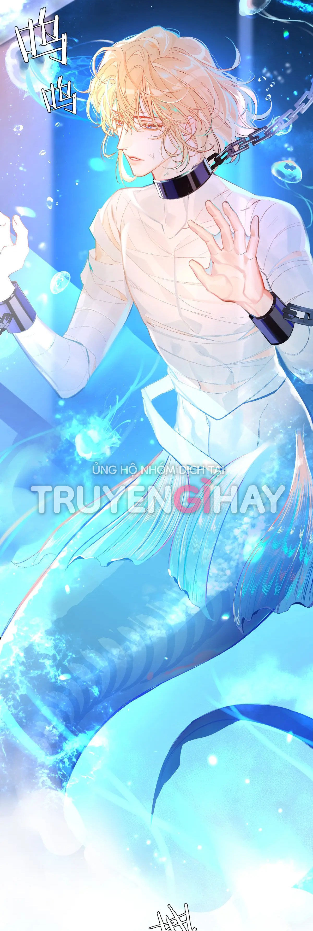 nhân ngư sa ngã chapter 1.1 25
