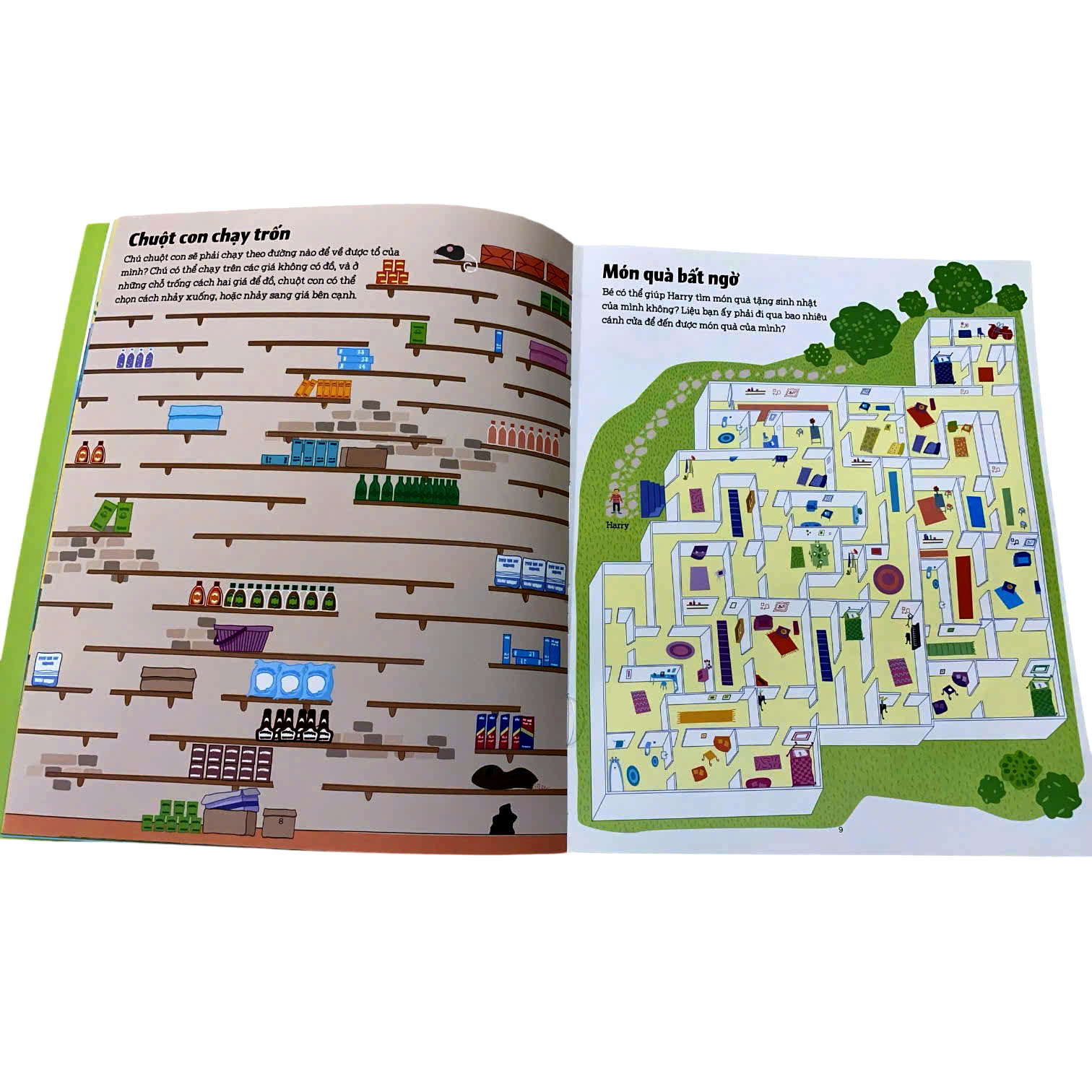 Sách Mê Cung Phát Triển Tư Duy (Big Maze Book)