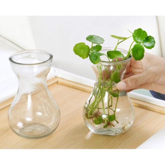 Combo 2 Lọ hoa thủy tinh miệng loe 14cm, lọ cây thủy tinh trang trí bàn làm việc cực đẹp