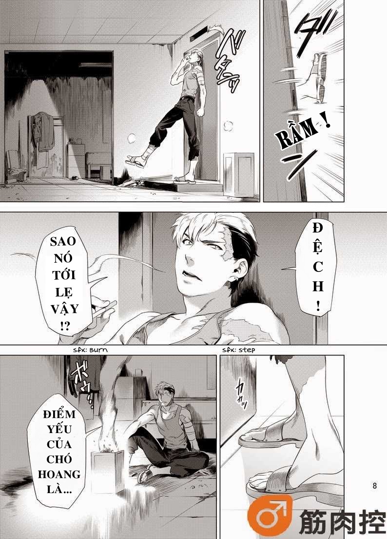 chó săn bóng tối chapter 1 9