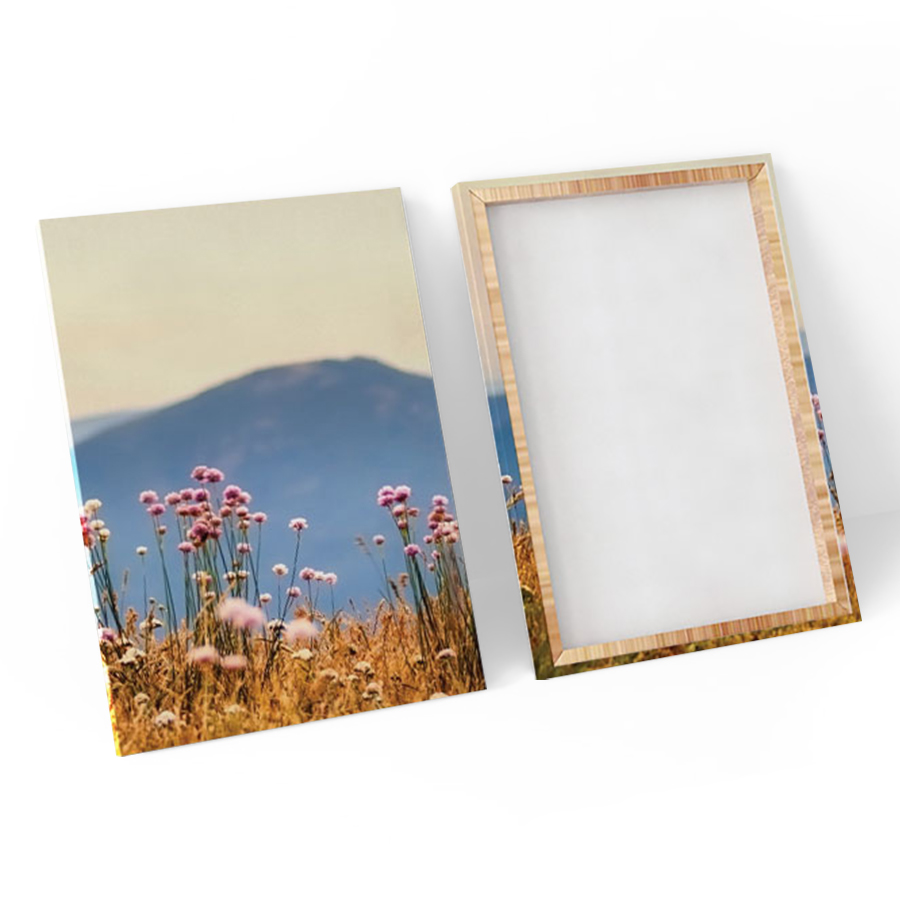 Bộ 3 Tranh Canvas Đồng Hoa Dại - W119