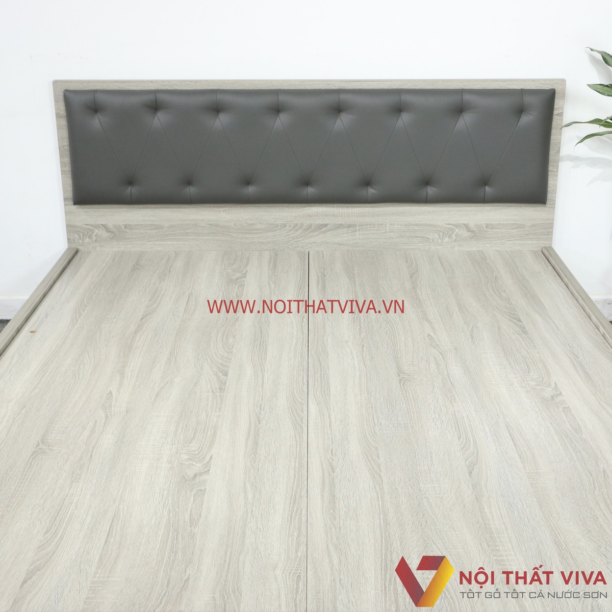 Giường Ngủ Gỗ MDF Melamine Màu Xám Vân Gỗ Có Hộc Kéo + Đầu Nệm Xanh Đen Đẹp Hiện Đại
