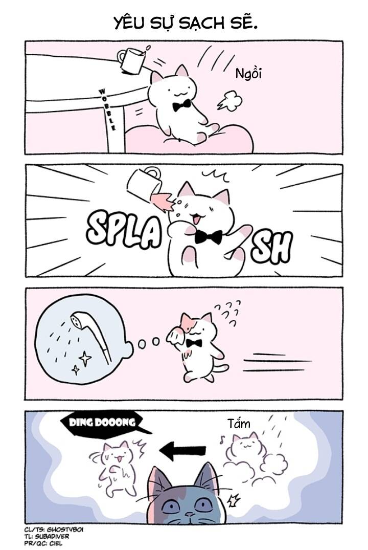 chú mèo kỳ diệu kyuu-chan chapter 782 3