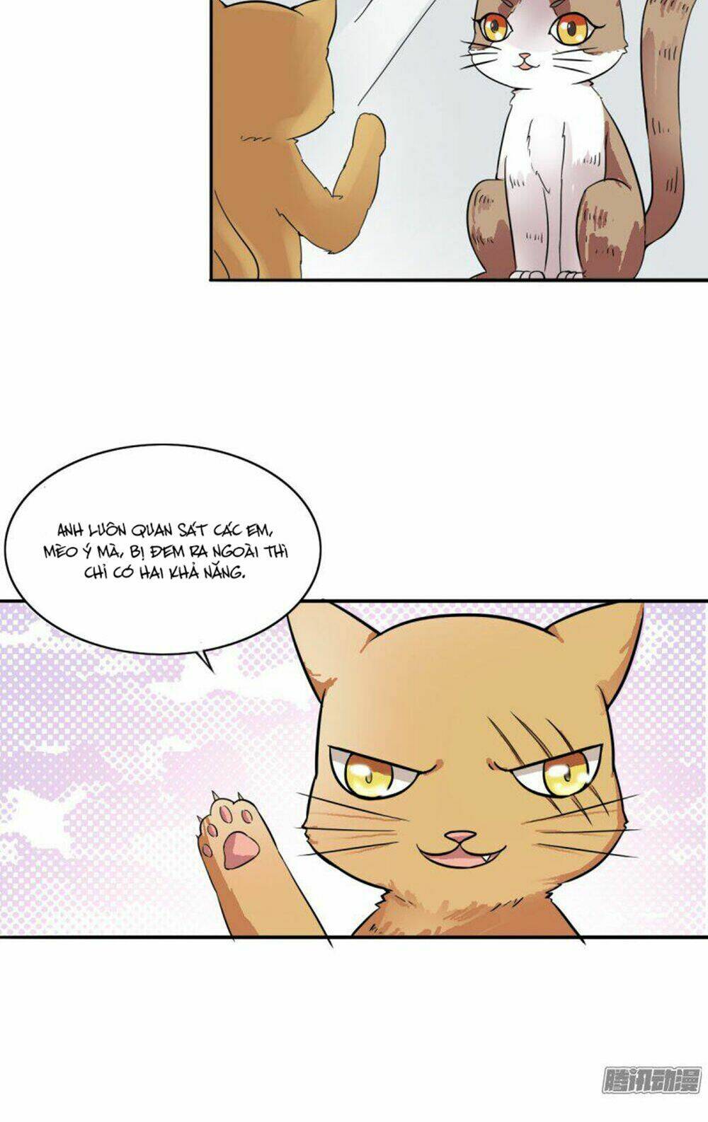 hai chú mèo totem chapter 4 8