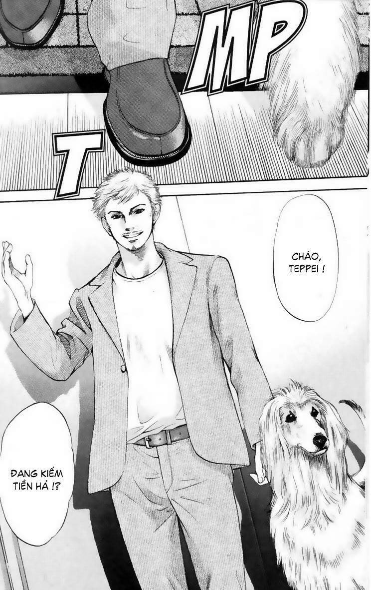 cô nàng yêu chó chapter 11 7