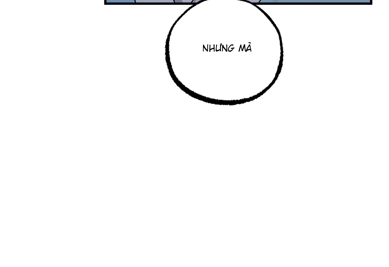 đàn thỏ của habibi chapter 59 61