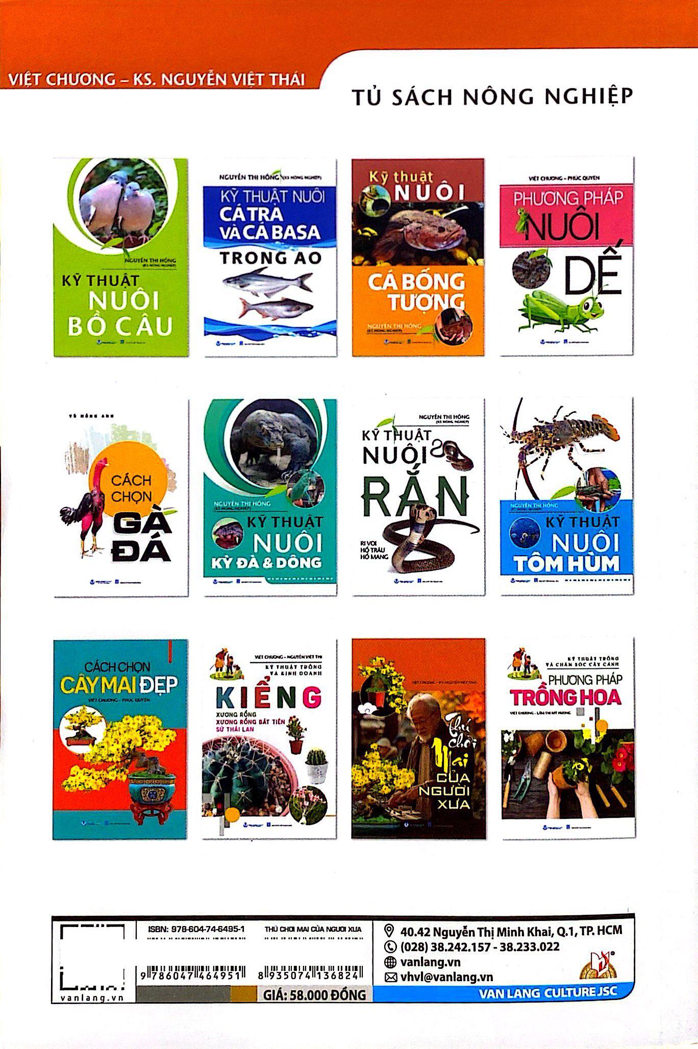 Sách - Thú Chơi Mai Của Người Xưa (Tái Bản 2025)