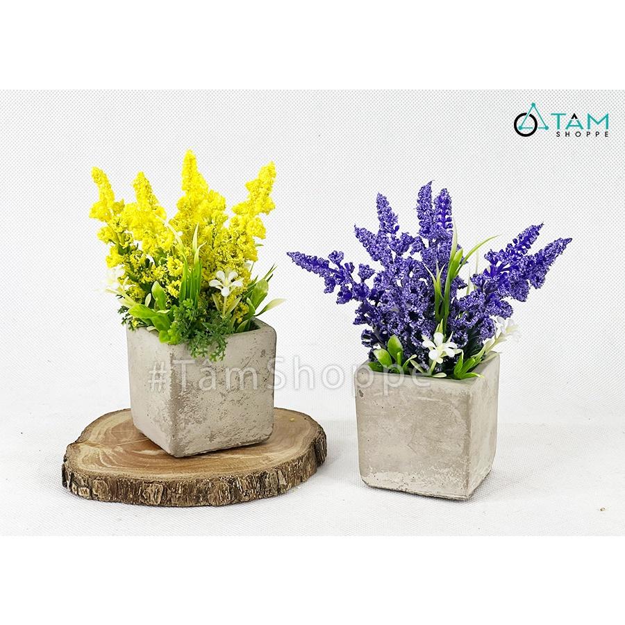 Chậu hoa lavender giả đề bàn hoa xốp chậu xi măng CHDB-104
