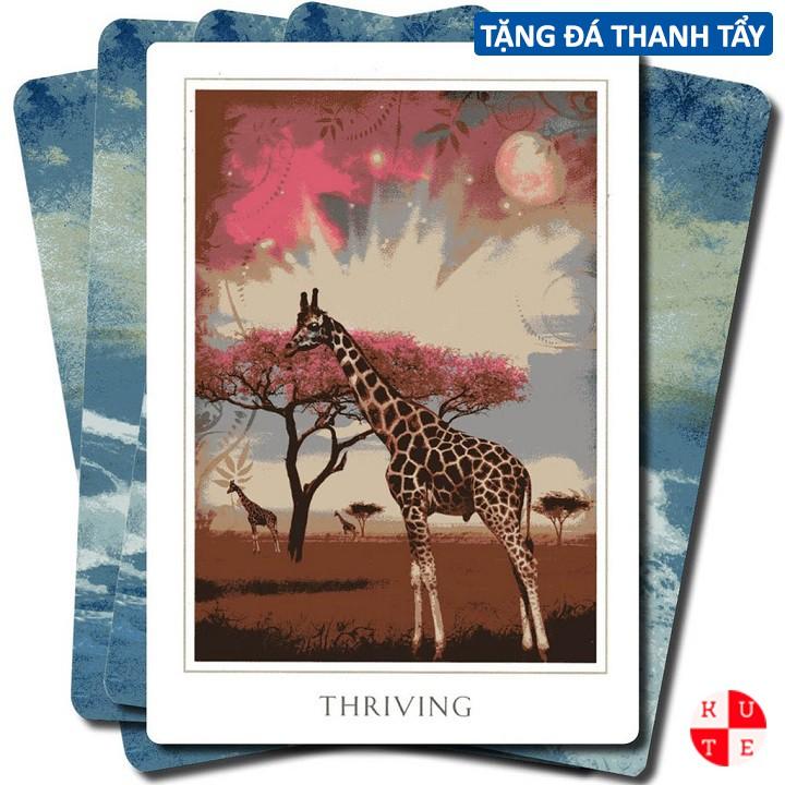 Bộ Bài Oracle Sacred Destiny 52 Lá Bài Tặng File Tiếng Anh Và Đá Thanh Tẩy