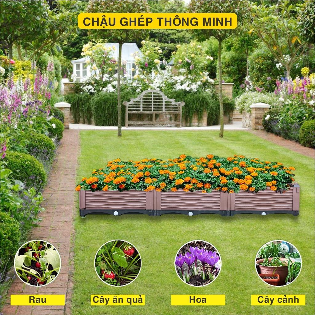 Chậu trồng rau lắp ghép. KT 150x50x23 cm.Đáy thoát nước chống ngập úng.Sang trọng - Thẩm mỹ - Bền hơn 10 năm.Bảo hành 1 năm toàn quốc