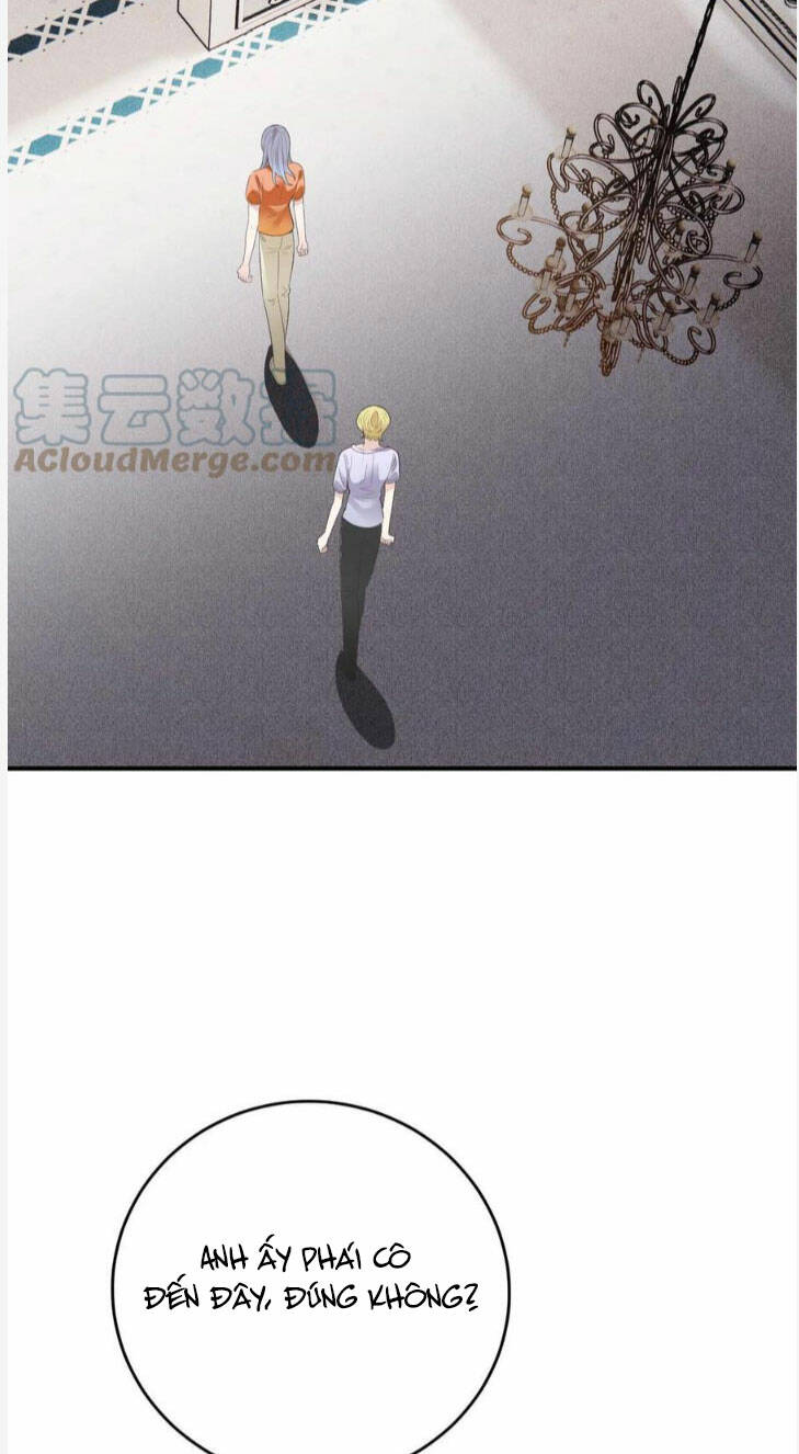 cô vợ mang thai một tặng một chapter 255 24