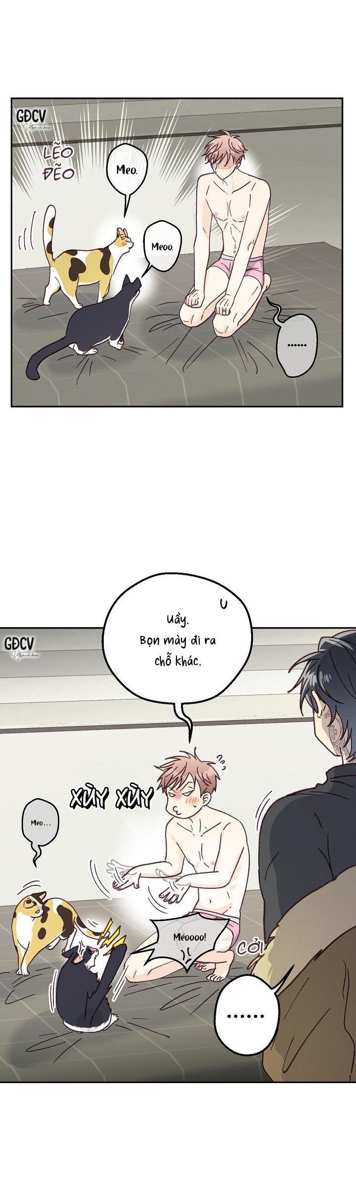 bạn trai vô song của tôi Chapter 31 18++ 6