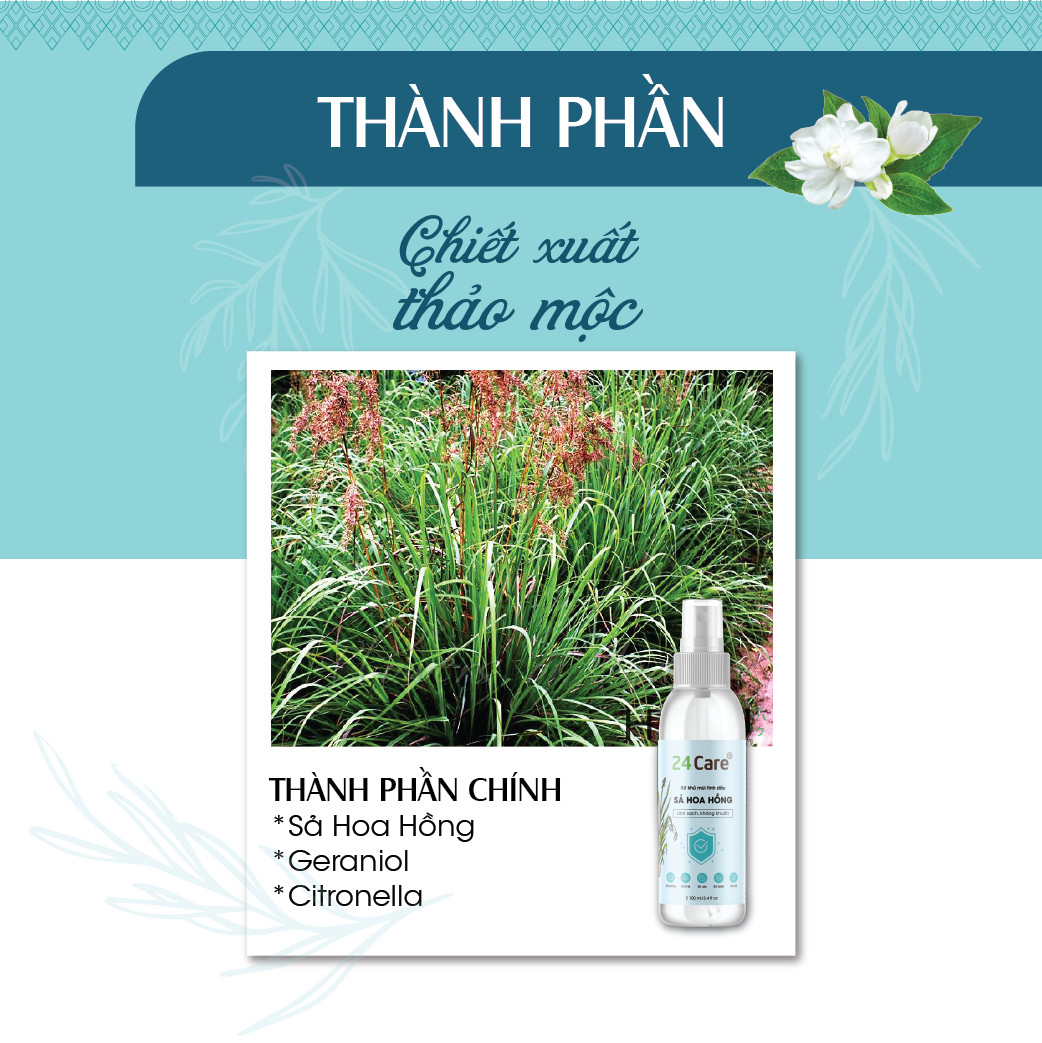 Combo 5 Tinh dầu Xịt phòng Sả Hoa Hồng Hữu Cơ Organic 24Care 100ML/Chai