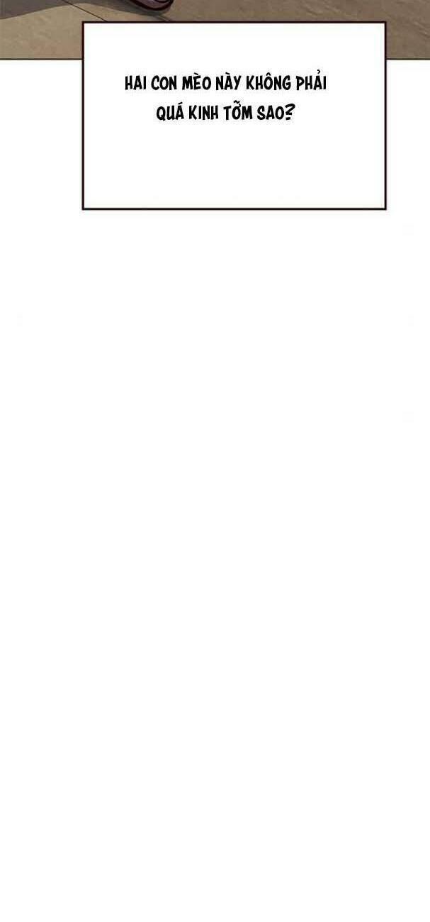 biến thân thành mèo chapter 193 35