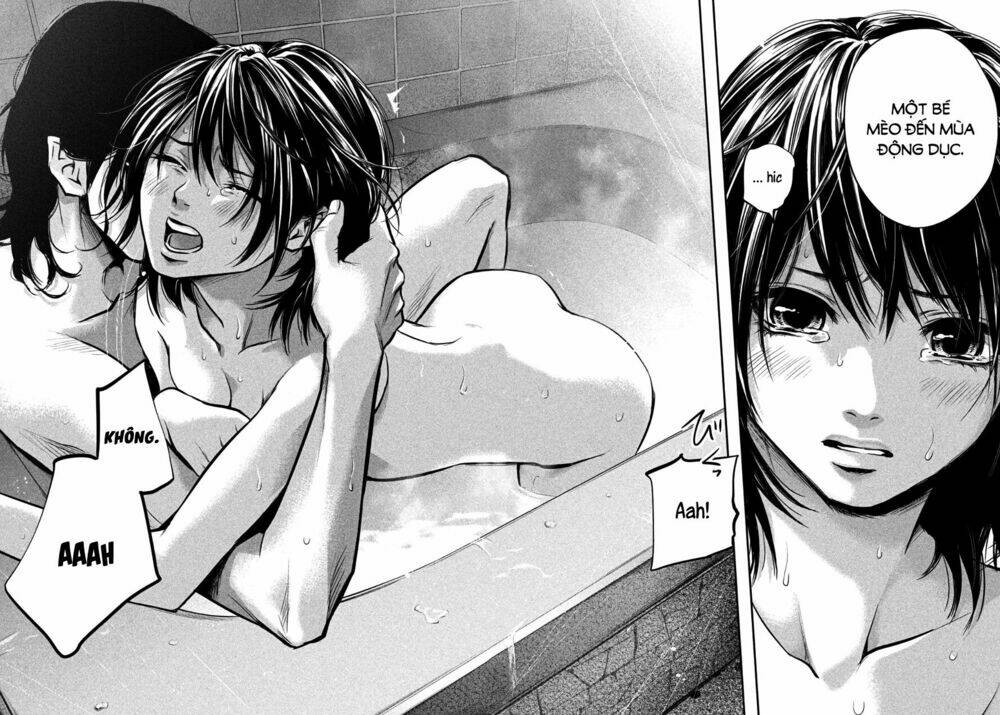 đạo luật nhiều vợ chapter 28 12