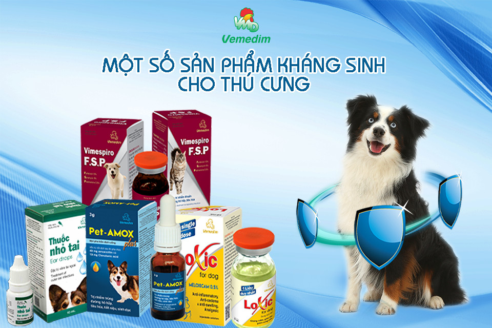 SPRAY DOG Dung dịch phun trị ve, rận, bọ chét ở chó, trâu, bò, chai 50ml, sản phẩm Vemedim