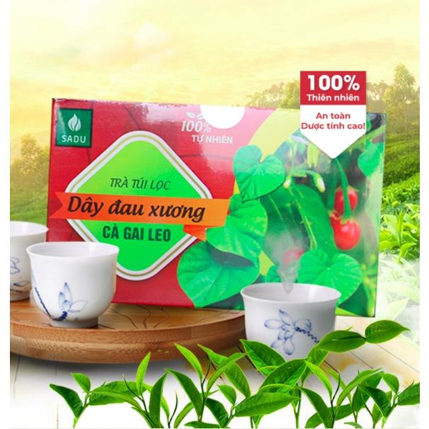Trà túi lọc Dây Đau Xương Cà Gai Leo Sadu