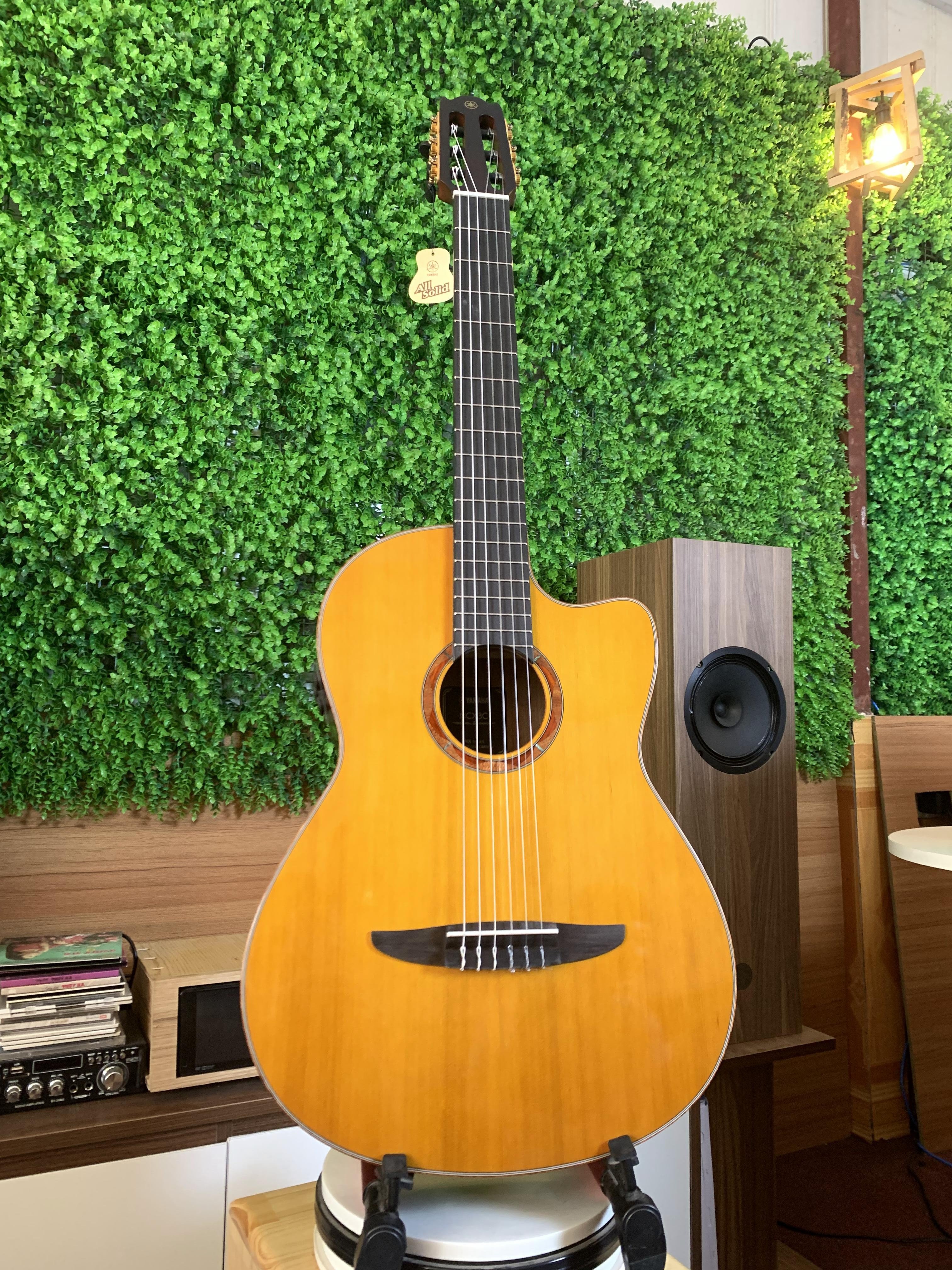 Đàn Guitar Nylon Yamaha NCX3C