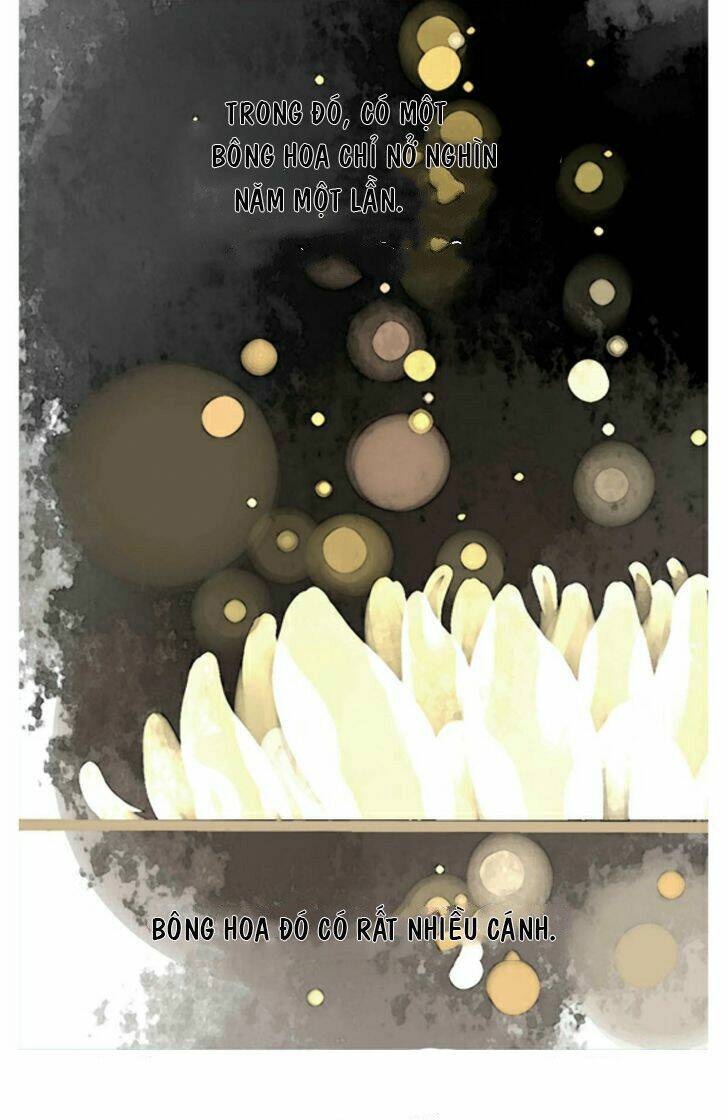 một ngàn cánh hoa chapter 2 10