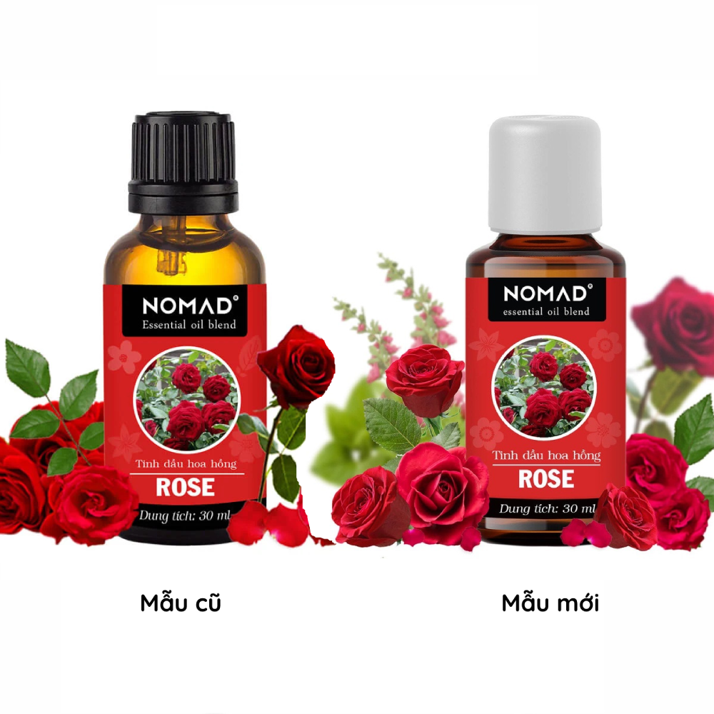 Tinh Dầu Hoa Hồng Nomad Rose Essential Oil Blend