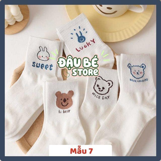 Tất nữ, vớ nữ set 5 đôi cổ cao hoạ tiết cute dễ thương cá tính DAUBE - PK085