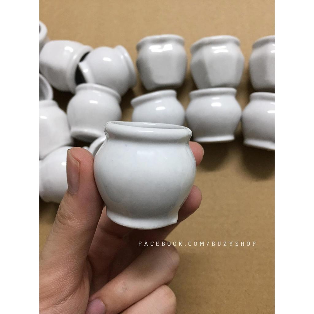 Chậu sứ trắng mini, chậu trồng sen đá - giao mẫu ngẫu nhiên