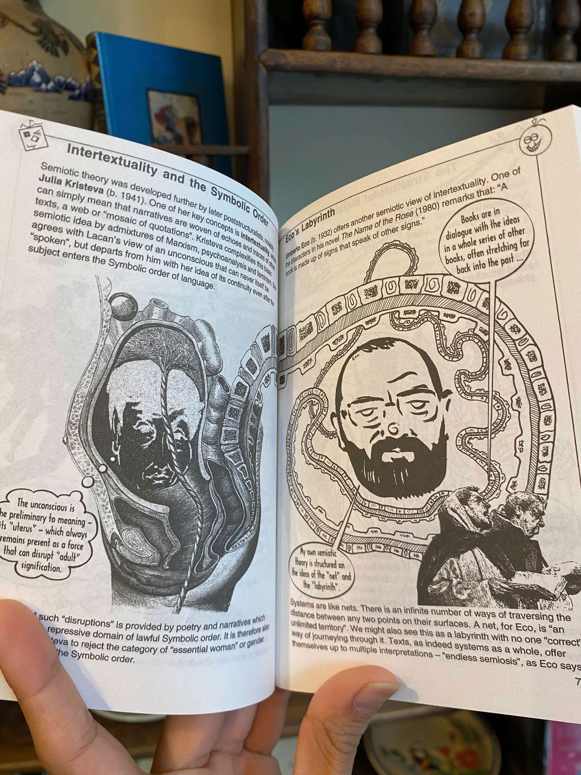 Sách - Introducing Critical Theory: A Graphic Guide by Stuart Sim | Philosophy / Nonfiction