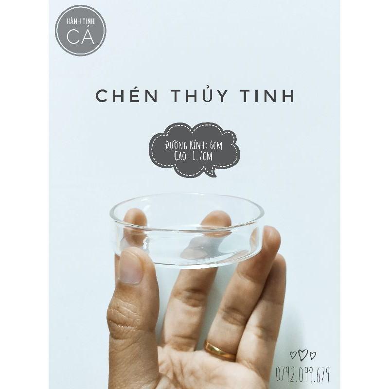 Chén Thủy Tinh SIÊU TRONG chuyện đựng THỨC ĂN CHÌM