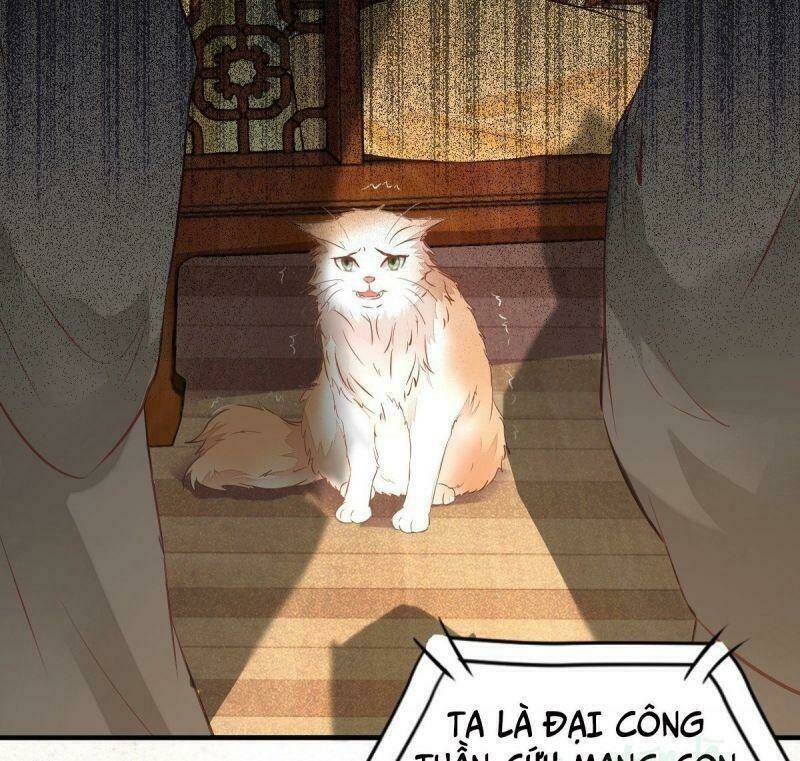 sát thủ vương phi không dễ chọc chapter 33 48