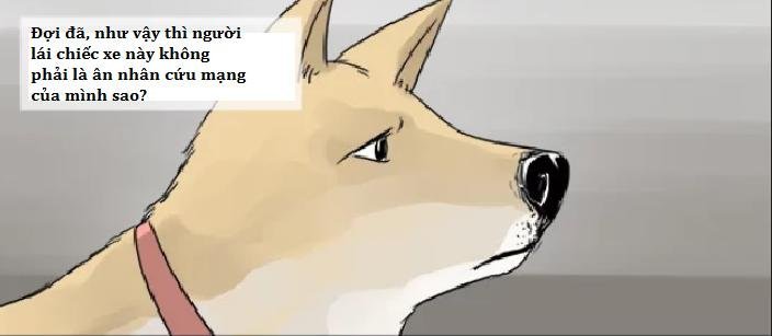 một con chó chapter 3 11