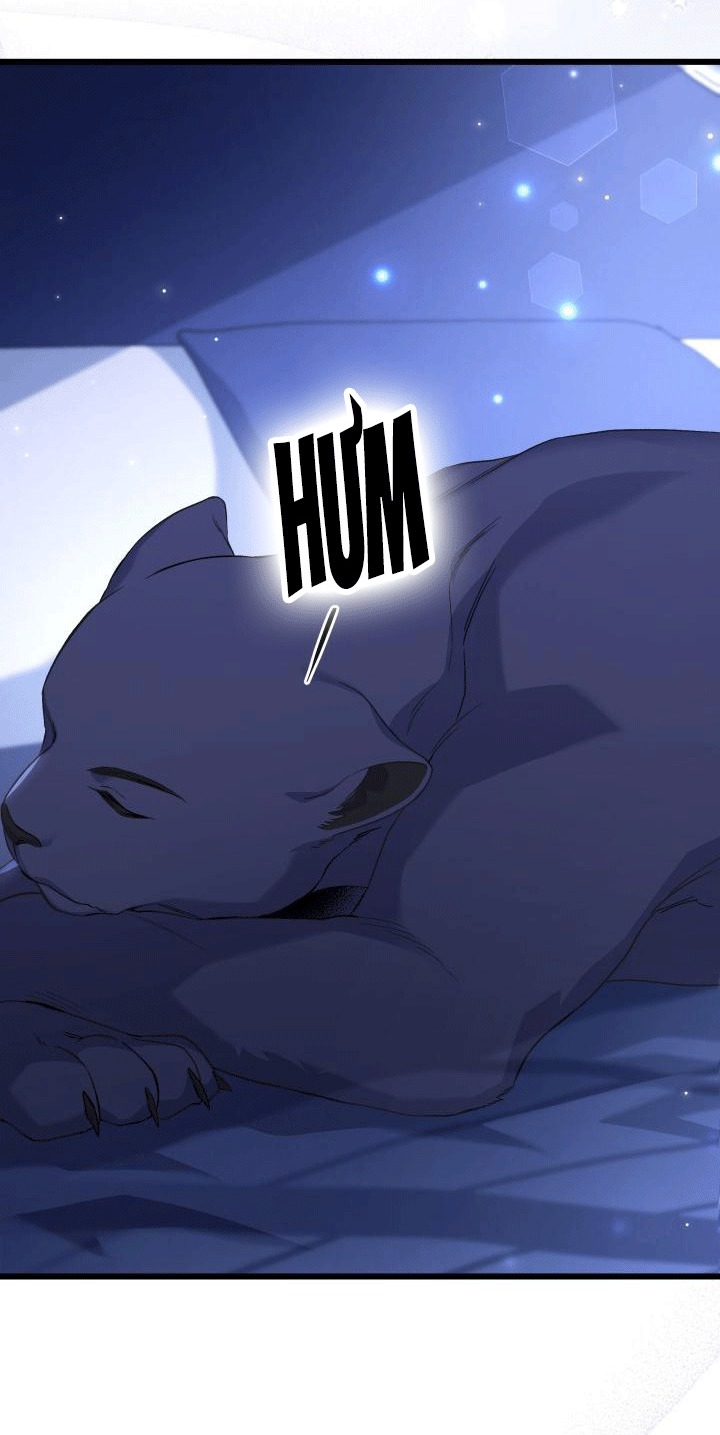 mối liên kết giữa báo đen và bé thỏ chapter 92 12