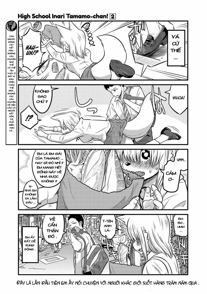 high school inari tamamo-chan ! chapter 19 4