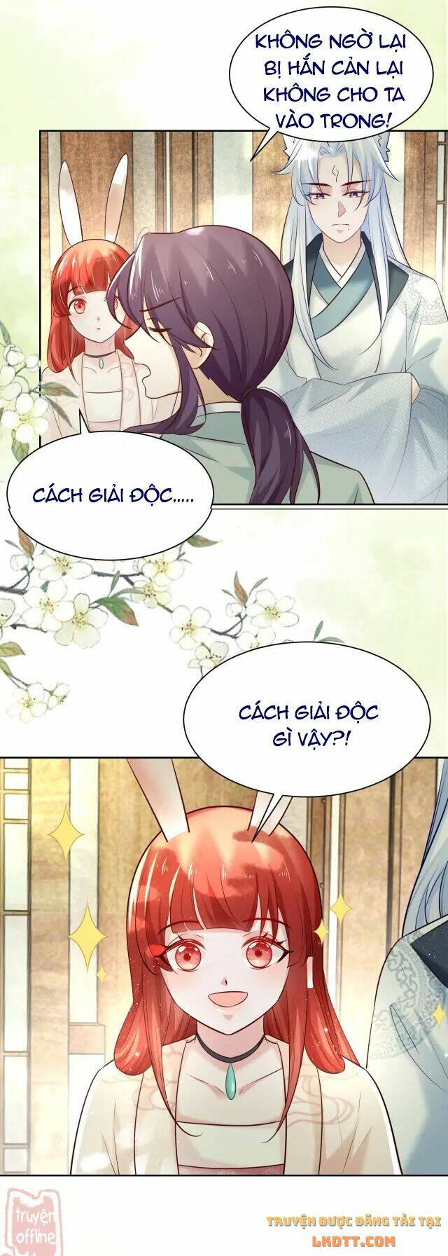 hắc hóa nam chính trực tuyến nuôi thỏ chapter 48 15