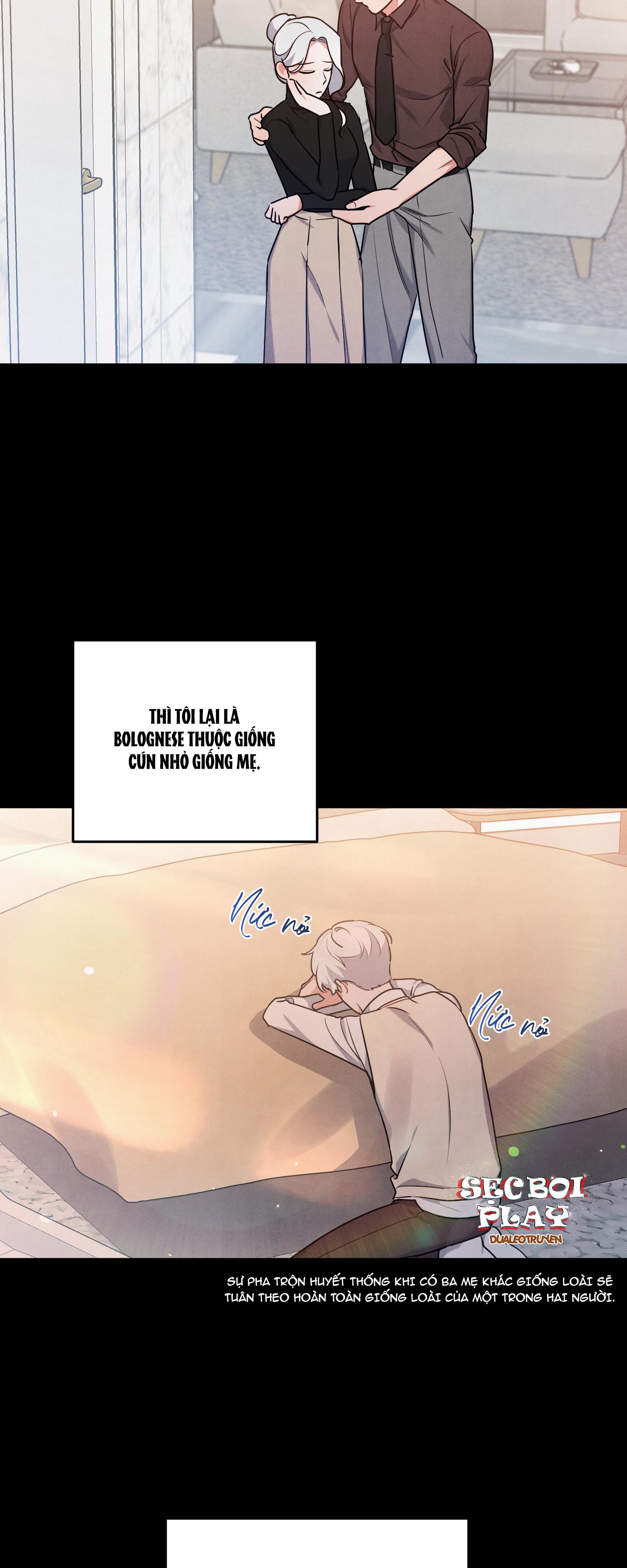 mối quan hệ của thú nhân chapter 21 12