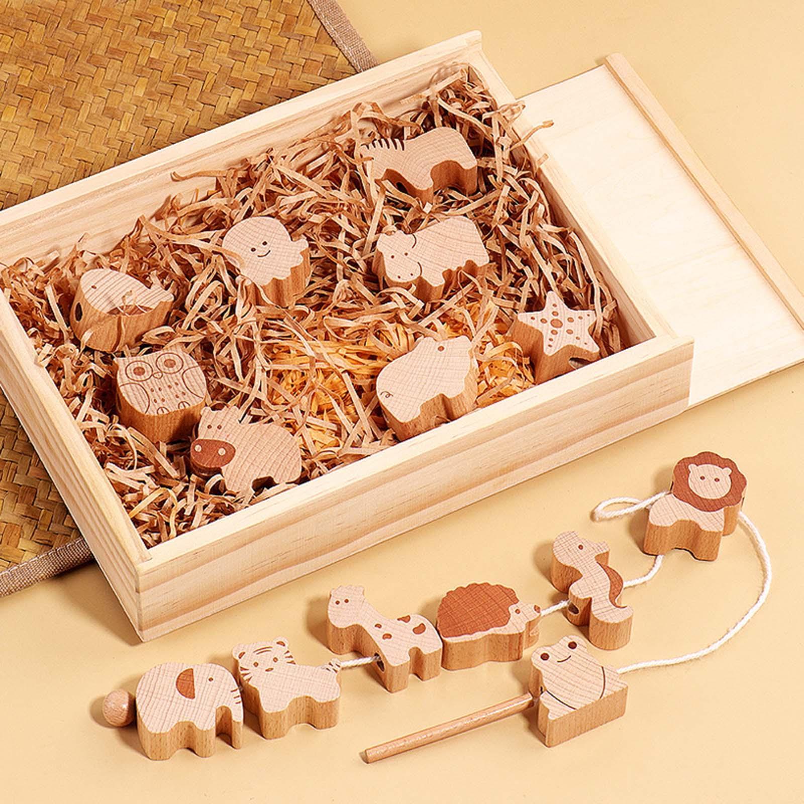 16x Animal Blocks Threading Toy Hand Eye Coordination for Children Toddlers