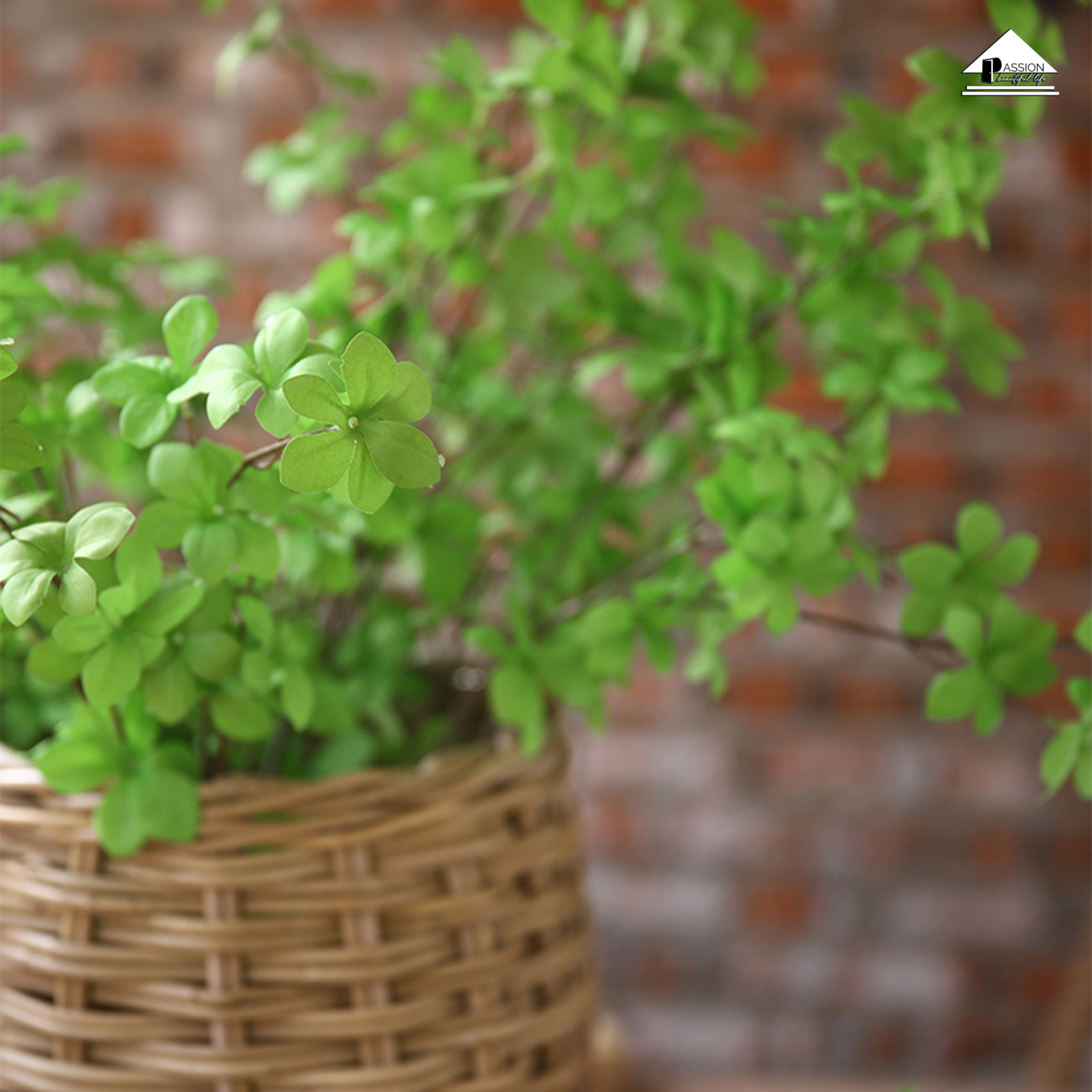Nhành Cây Xanh Lá Nhỏ Trang Trí Kiểu Dây Leo Bắc Âu