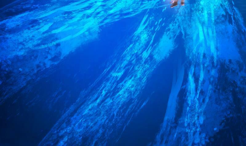 trên người ta có một rồng chapter 277 29