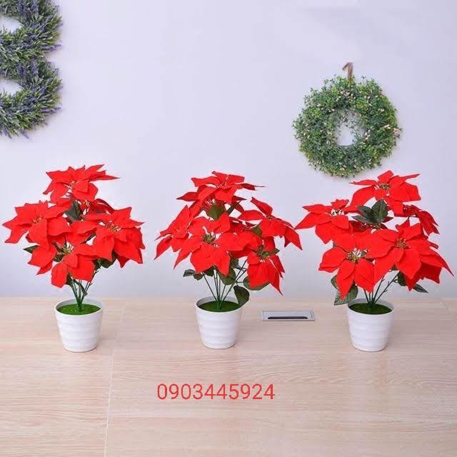 Cây Trạng Nguyên Nhựa Pvc