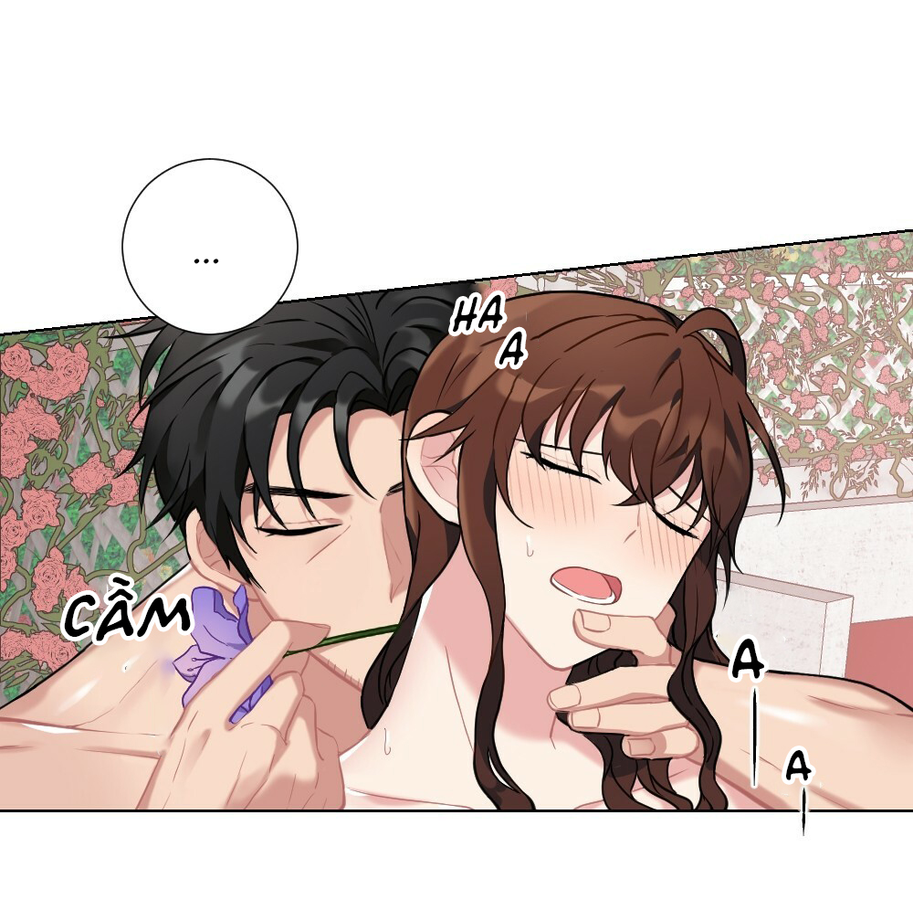 tiểu thư và dàn hầu nam mlem chapter 11 8