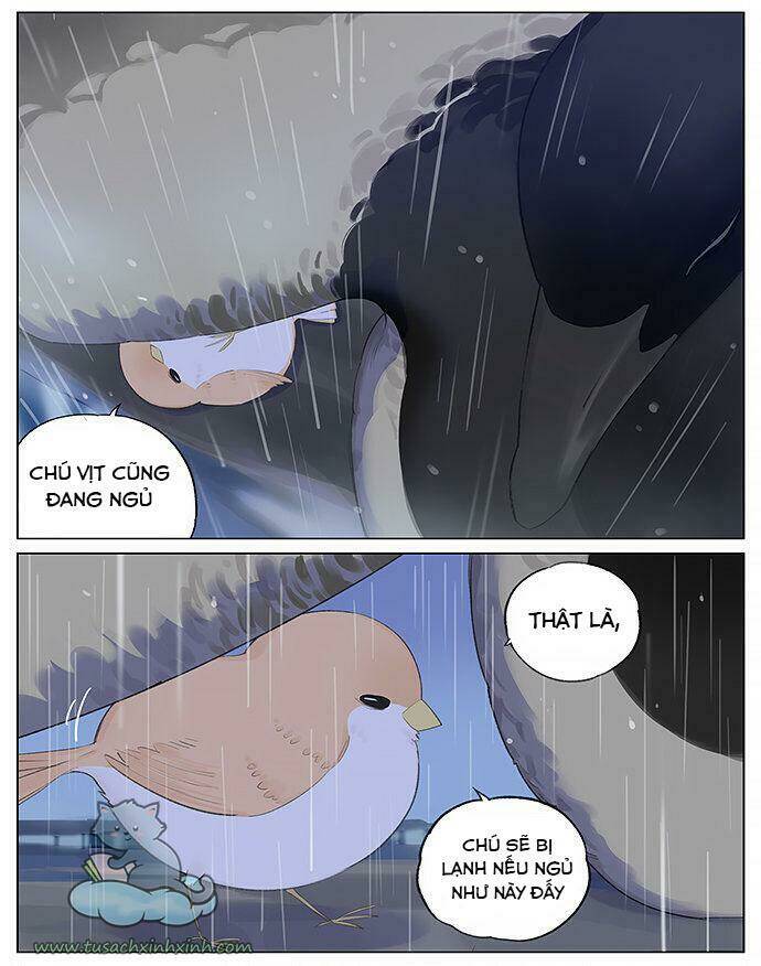 chim sẻ gọi ngỗng trời chapter 12 6