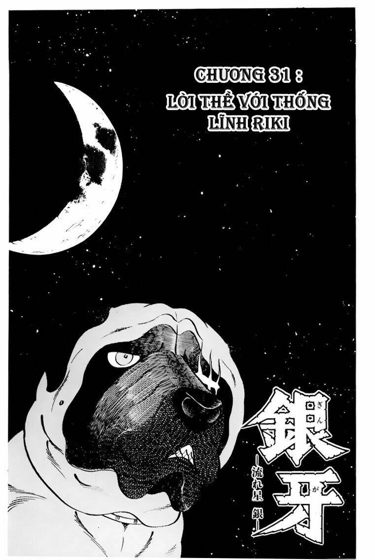 chú chó có nghĩa - ginga nagareboshi gin chapter 31 6