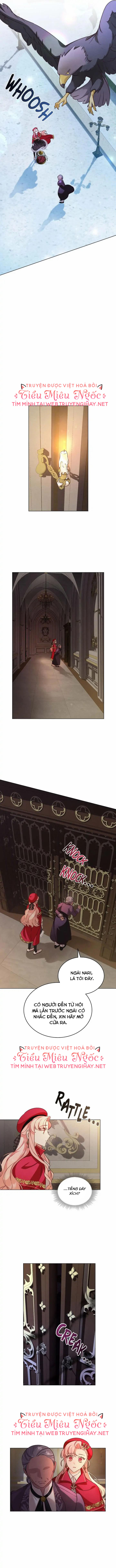 ánh sáng của bình minh chapter 11 4