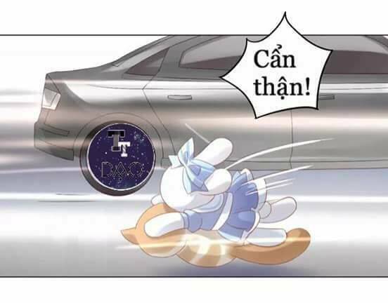 dưới móng vuốt mèo chapter 7 34